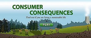 Casa Verde:  Consumer Consequences